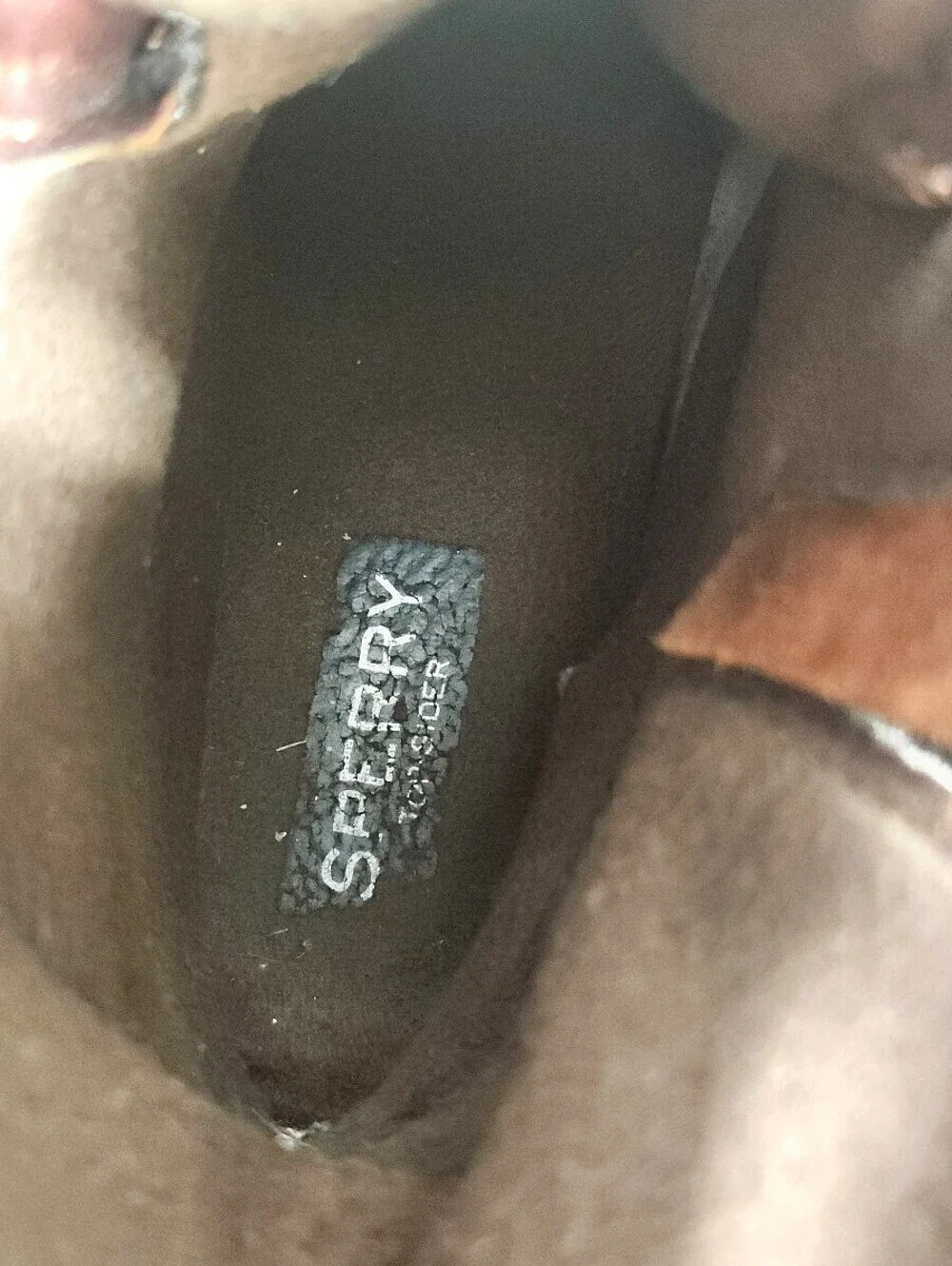 Sperry brown black